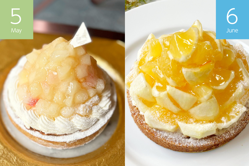 フルーツ タルト 1ホール 14cm 6回 定期便 総計6ホール [心優-Cotoyu Sweets- 長崎県 平戸市 hr42bgy420461] 果物 いちご 桃 ブルーベリー りんご ケーキ た