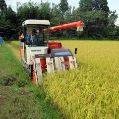 【令和8年産新米予約】【生産者直送】阿賀野市産「新之助」10kg（5kg×2袋） 安田興和農事 白米 精米 新潟県 米 こめ コメ 新米 新米予約 令和8年産 10月下旬より順次発送予定  1W050