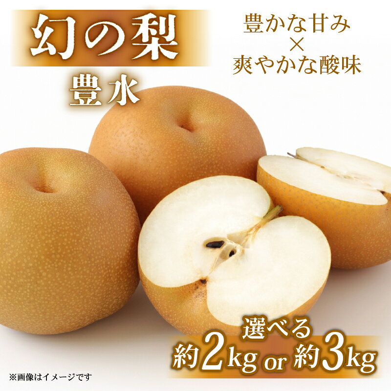 【ふるさと納税】 期間限定 先行受付 数量限定 彦根梨 豊水 約 2kg / 3kg 梨 2026年9月発送予定 フルーツ 果物 和梨 なし ギフト プレゼント 贈り物 贈答品 お取り寄せ 限定品 滋賀 彦根