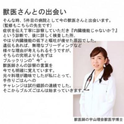 ふるさと納税 みやき町 国産・保存料無添加のドッグフード・おダシ香る鶏ごはん【お試しセット】(みやき町)_SS970 |  | 02