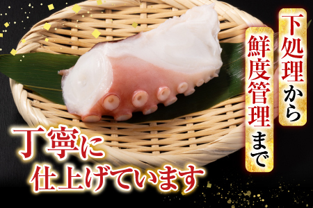 【北海道根室産】たこ足800g前後～1.4㎏前後×1本 A-76028