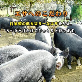 A7-07 鹿児島県産！沖田黒豚骨付きフランクソーセージ(計1.5kg・500g×3パック) 1本100gもある黒豚肉をふんだんに使用した粗挽きフランクフルト！【沖田黒豚牧場】