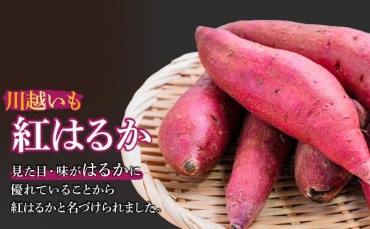 さつまいも 紅はるか 5kg | さつまいも サツマイモ さつま芋 さつまいも サツマイモ さつま芋 さつまいも サツマイモ