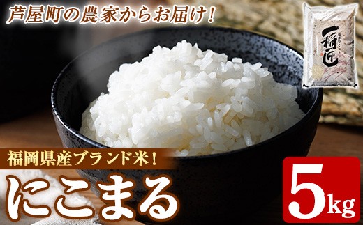 ≪令和7年産≫福岡県産 にこまる 白米(計5kg) 白米 米 お米 おこめ ごはん にこまる ご飯 常温 福岡県産 ブランド米 常温 常温保存 as32-002