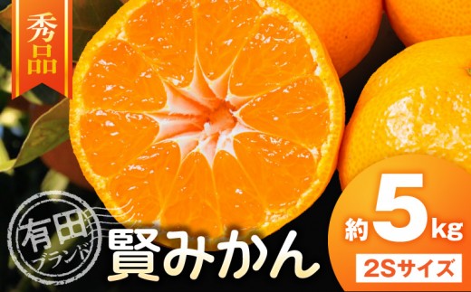 
                  【秀品】 有田ブランド 賢みかん 約5kg （2Sサイズ）  _ZD7032
                