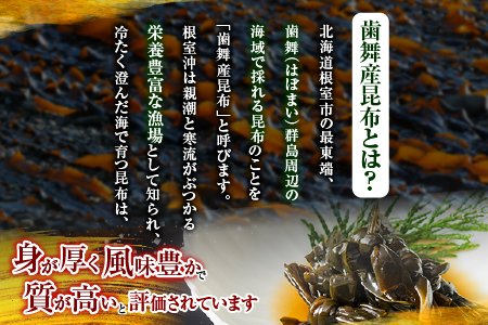 【北海道根室産】むすび昆布煮付95g×14缶 C-78020