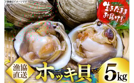 【期間限定発送】【12月発送】 ホッキ貝 5kg [百石町漁業協同組合 青森県 おいらせ町 oi02ayo550001] ほっき貝 ブランド 奥入瀬 北寄貝 ホッキ ほっき