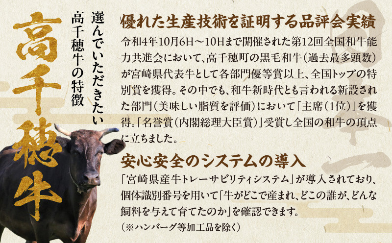 宮崎県産黒毛和牛A4等級以上 高千穂牛すじ 500g×2パック A145