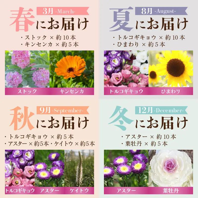 【定期便4回】花農家直送 新鮮な切花【春 夏 秋 冬】 / 生花 お花 旬の花束 豊かな生活 花のある生活 15本程度 2種 季節 年4回お届け [aw099-d001]