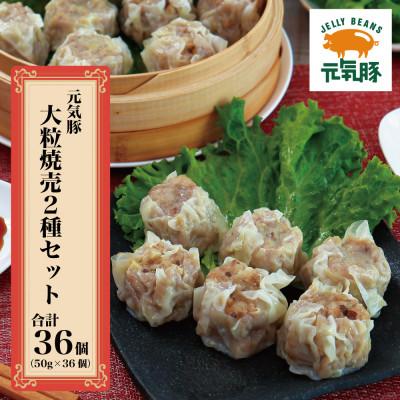 ふるさと納税 多古町 【千葉県産三元豚】元気豚 大粒焼売2種セット(2種 合計36個入)【シュウマイ】