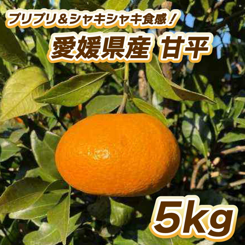 【ふるさと納税】 【先行予約】プリプリ シャキシャキ食感 甘平 5kg 【2月中旬～3月中旬発送】 柑橘 果物 フルーツ みかん 甘平 松山市 愛媛県