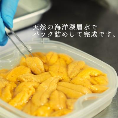 ふるさと納税 せたな町 【2025年6月下旬から順次発送】【北海道せたな町産】生鮮生うに(150g×1パック) |  | 02