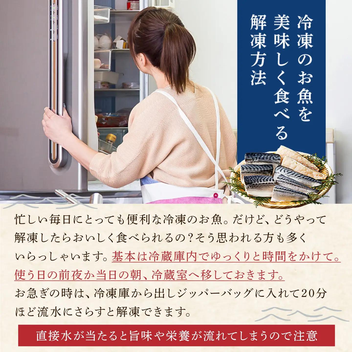 【訳あり】骨取り無塩さば　切り身500g（500g×1袋） mi0012-0160