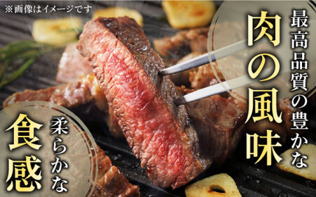 【全12回定期便】「極厚！」長崎和牛 サーロイン ステーキ 計6.0kg (約500g/回)【黒牛】[QBD043]