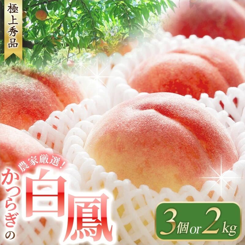 【ふるさと納税】 【予約受付】桃 桃の王様 白鳳 特秀品 うれしい食べきり容量 【選べる容量】3玉 2kg 【2027年6月20頃～順次発送予定】（お届け日指定不可）/もも 白鳳 フルーツ 果物 くだもの