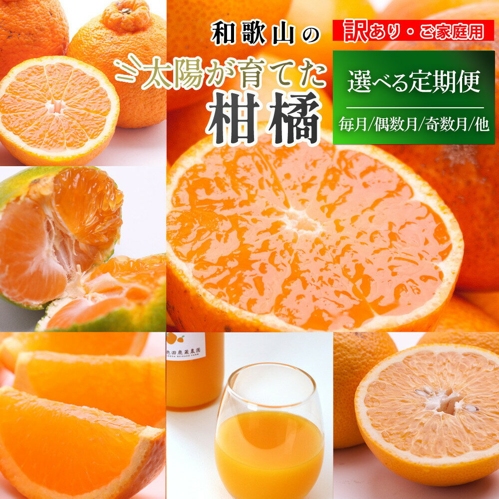 【ふるさと納税】【選べる回数・容量】家庭用 柑橘定期便 | フルーツ 果物食品 人気 おすすめ 送料無料