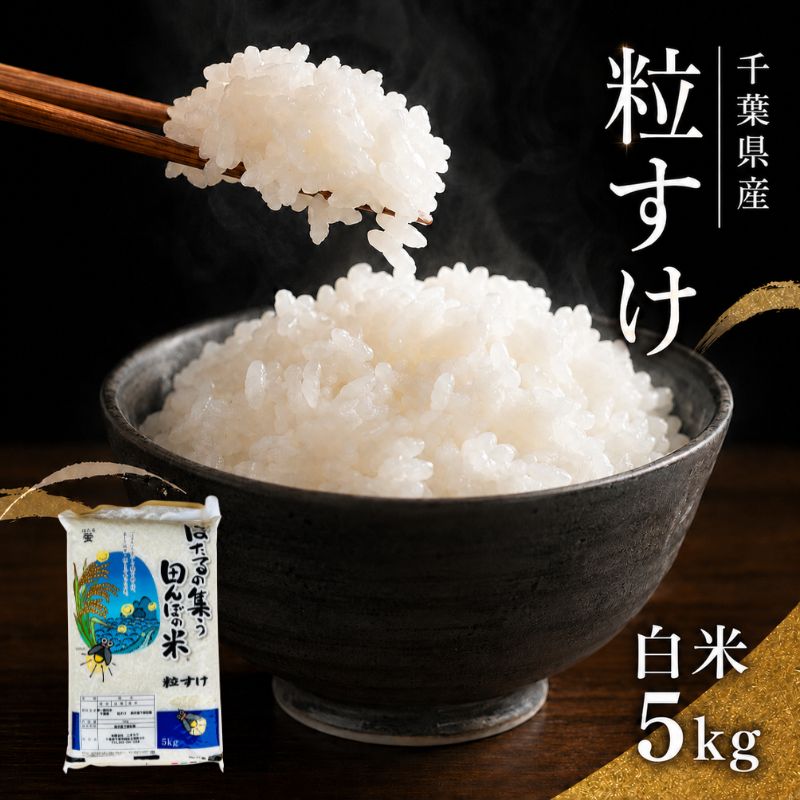 【令和8年産】 粒すけ  白米5kg 　【 お米 こめ コメ おこめ 】