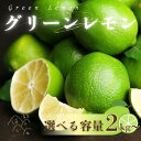 【ふるさと納税】選べる 訳あり レモン (グリーンレモン) 2kg・3kg・5kg サイズミックス 【発送時期：10月～4月】 グリーン レモン 防腐剤 ワックス 不使用 サイズミックス お試し 試供品 少量 5000円 清家ばんかんビレッジ 愛媛県 愛南町