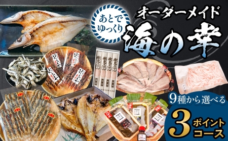 あとでゆっくりオーダーメイド海の幸【３ポイントコース】（のどぐろ・白えび・氷見産ぶり・ほたるいか等から選べる）  富山県 氷見市 干物 ぶりしゃぶ 昆布締め 氷見うどん