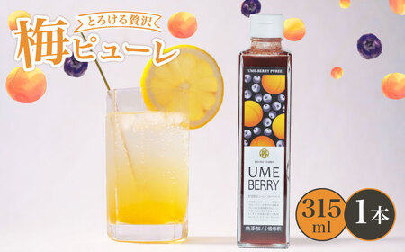 【梅ピューレ】UMEBERRY 1本 ベリー ジャム