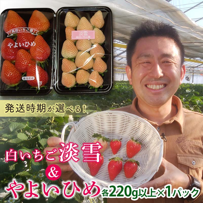 【ふるさと納税】 群馬県産いちごセット ＜やよいひめ・淡雪＞【発送時期が選べる】 (各220g以上×1パック) 群馬県産 オリジナル品種 いちご 苺 イチゴ やよいひめ 白イチゴ 淡雪 食べ比べ セット 詰合せ 果物 フルーツ 食品 F20E-722