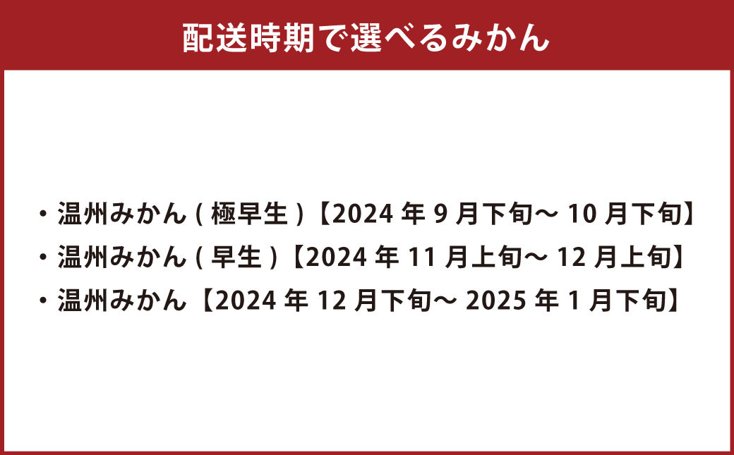 特別栽培みかん 10kg サイズミックス