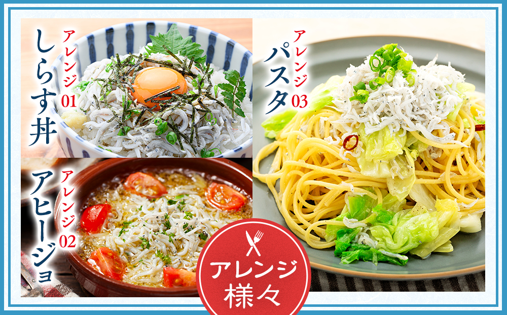 鮮度抜群！ 海の玄米 子ども用釜揚げシラス 2kg