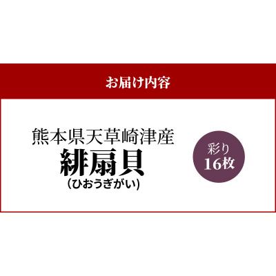 ふるさと納税 天草市 【指定日必須】熊本県天草崎津産 緋扇貝(ひおうぎがい)彩り 16枚_S021-003B |  | 02