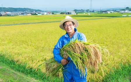 パックごはん 【令和7年産】特別栽培米 伊賀米コシヒカリ真空パック セット 6合（900g）×3【nsym0003】