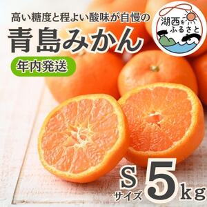 【年内発送】【12月より順次出荷予定】青島みかん約5kg Sサイズ〔鈴木農園〕【1510100】