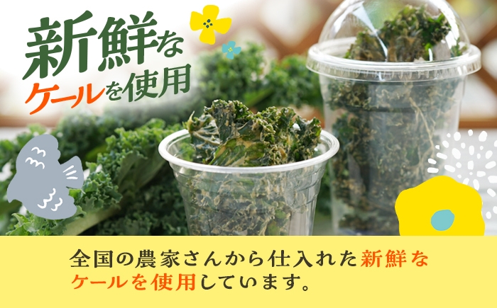 やみつきケールチップス