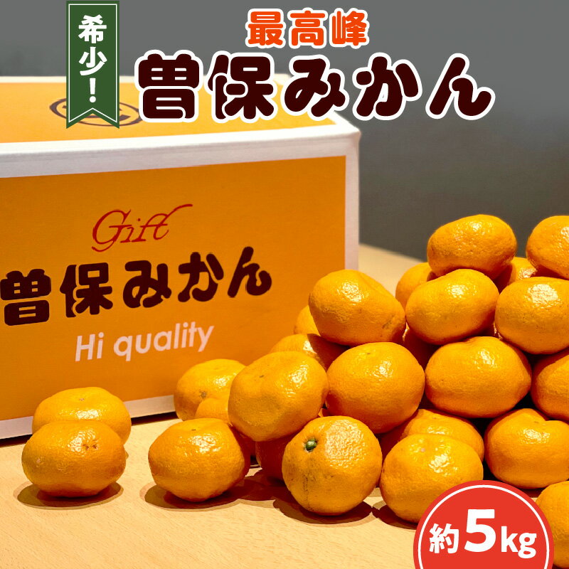 【ふるさと納税】 みかん 最高峰 曽保みかん 約5kg [ フルーツ 果物 果実 希少 柑橘 デザート スイーツ 甘い 果汁 常温 食品 国産 香川県 三豊市 お取り寄せ お取り寄せグルメ ギフト 返礼品 プレゼント 送料無料 旬 10000 10,000円 台 北浜商店 ]