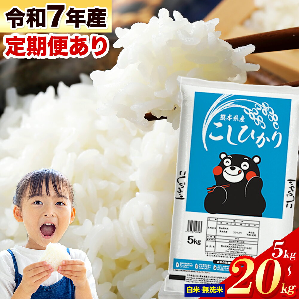 【ふるさと納税】令和7年産 無洗米 も選べる こしひかり 5kg 10kg 20kg 定期便 2ヶ月 3ヶ月 6ヶ月 12ヶ月 12回 隔月も選べる《出荷時期をお選びください》熊本県産 ふるさと納税 無洗米 白米 精米 ひの 米 こめ ふるさとのうぜい コシヒカリ コメ お米 おこめ