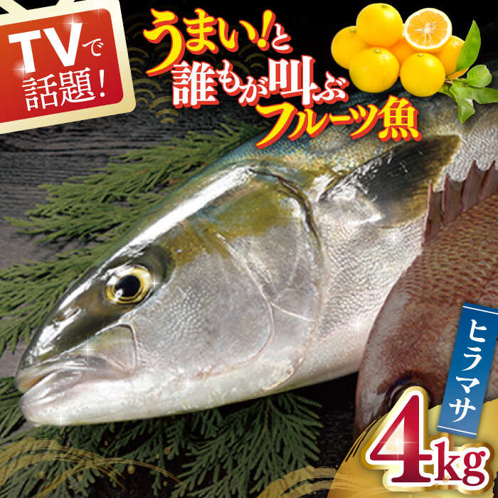 【ふるさと納税】ヒラス（ヒラマサ） 平戸なつ香 丸々1匹（約4kg） 平戸市 / 坂野水産 [KAA001] 鮮魚 魚介 夏香 みかん オレンジ レシピ付き ひらす ひらまさ ヒラス ヒラマサ 鮮魚 刺身