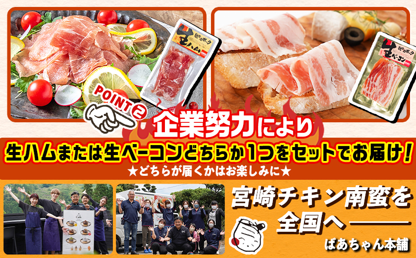 家計応援キャンペーン!一口チキン南蛮(特製タルタルソース付き)+生ハムor生ベーコン計3.07kg_16-1508-CP