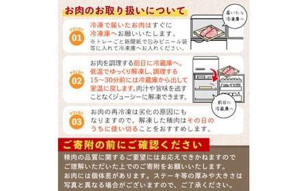 ＜2025年7月中に発送予定＞鹿児島県曽於市産 曽於ポーク切り落とし3.25kg(250g×13パック)セット 国産 豚肉 切り落とし【Rana】A408-07-v01
