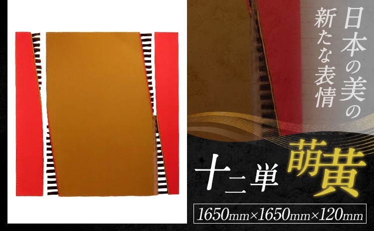 
                  アート作品 十二単-萌黄 ホシカ・アート・プロ 芸術作品 錯視 アート 芸術品 インテリア 壁掛けパネル
                