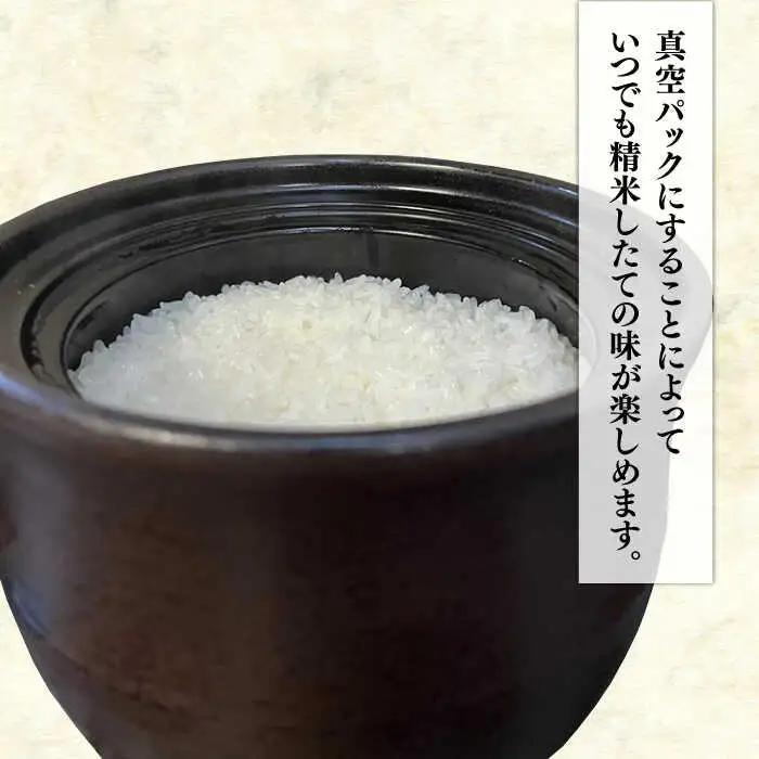 糸島のお米 食べくらべ 真空パック 計10kg（2kg×5パック）  糸島市 / 米屋納富 [ARL003] 白米 米