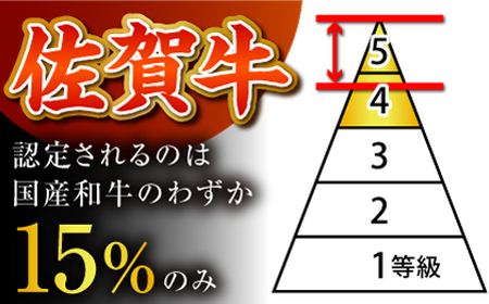 ハンバーグ ＜プレミアム＞150g×10個 HCS103 ハンバーグ