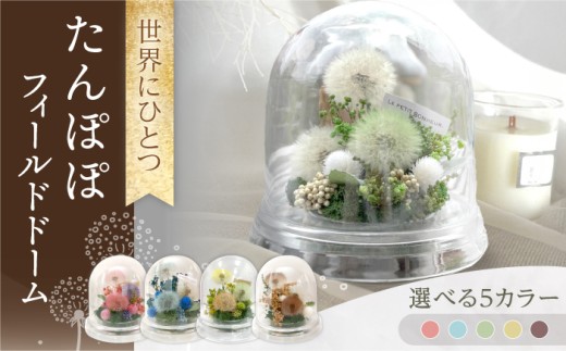 【イエローオレンジグリーン】たんぽぽフィールドドーム　世界にひとつ　/ プリザーブドフラワー　アレンジメント 花材 お花ギフト / 大村市 サニーサイドファクトリー [ACCK004-4]
