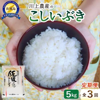 ふるさと納税 佐渡市 【毎月定期便】佐渡 川上農産のこしいぶき 精米(5kg)全3回