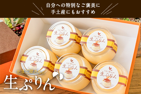 たまご屋さんの生ぷりん5個セット (150ml×5個) 送料無料 野上養鶏場《60日以内に出荷予定(土日祝除く)》味宝卵使用 プリン