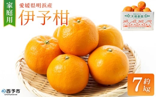 ＜伊予柑 家庭用 約7kg＞ ご家庭用 いよかん イヨカン みかん 蜜柑 柑橘 訳あり 果物 くだもの フルーツ ミカン 愛媛 国産 7キロ ジューシー 明浜 特産品 笑丸 愛媛県 西予市【常温】『2026年1月下旬より順次出荷予定』