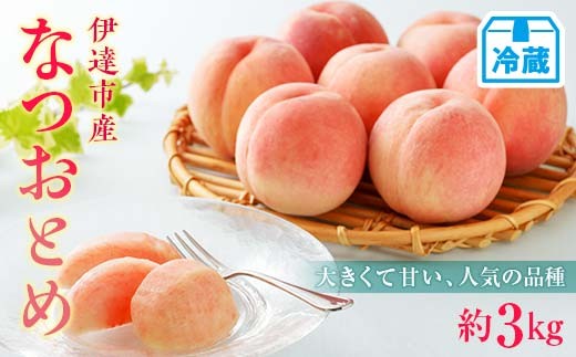 【2026年出荷分先行予約】<冷蔵配送>福島県産 なつおとめ 約3kg (9～16玉) 有限会社伊達水蜜園 新品種 大玉 伊達の桃 桃 フルーツ 果物 もも モモ momo F21C-254