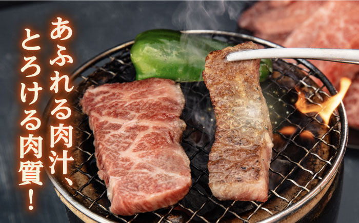 【全12回定期便】博多和牛厚切りカルビ1kg（500g×2P）《糸島》【幸栄物産】 [ABH040]