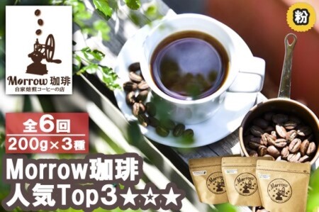 コーヒー 自家焙煎 Morrow珈琲 人気TOP3 粉 コーヒー【定期便6ヶ月6回】
