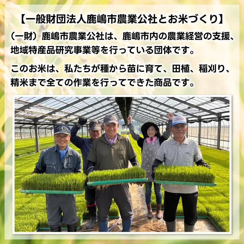 新米 こしひかり 玄米 30kg 新米 【令和8年産 先行予約限定】