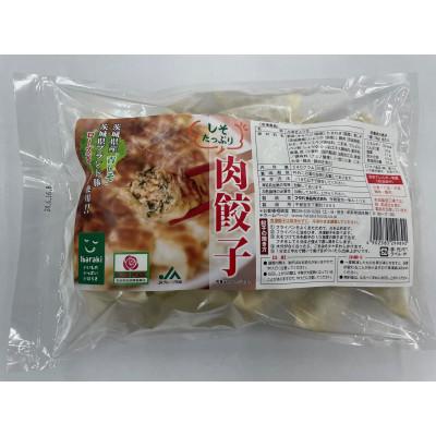 ふるさと納税 行方市 【茨城県産銘柄豚ローズポーク使用】「チンジャオロースまん」&「しそ餃子」セット |  | 03