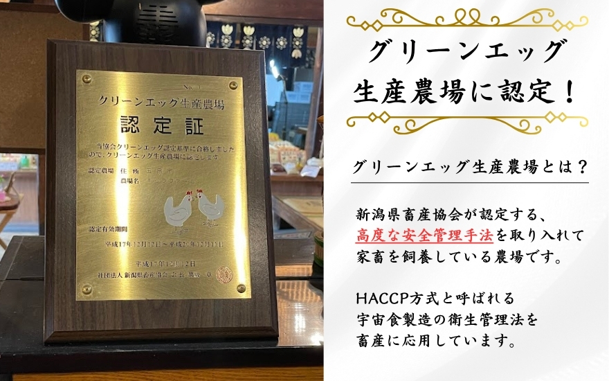 【3回定期便】キムラファームの産みたて卵 赤たまご60個（Mサイズ）産みたてたまご たまご 卵 玉子 タマゴ 鶏卵 オムレツ 卵かけご飯 たまご焼き 新潟県 五泉市