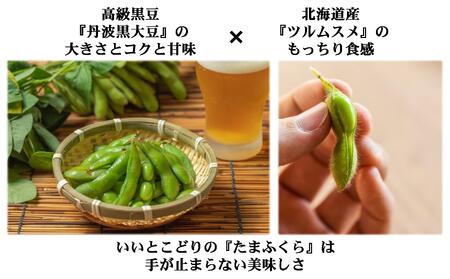 ＜9月中旬よりお届け＞枝付き枝豆 「たまふくら」約3kg 北海道壮瞥町産　SBTM007